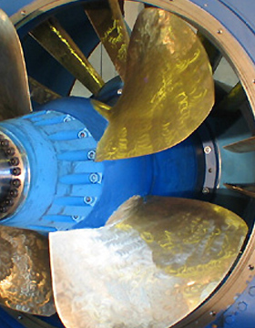 Kaplan Turbine